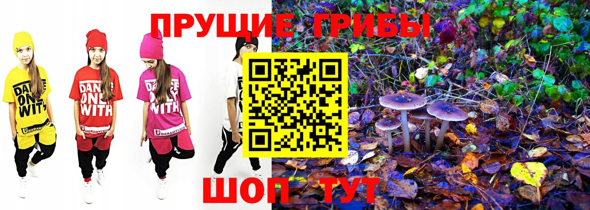 Коммунар  Псилоцибиновые грибы MAGIC MUSHROOMS  Псилоцибиновые грибы ЛСД  Вход с VPN 